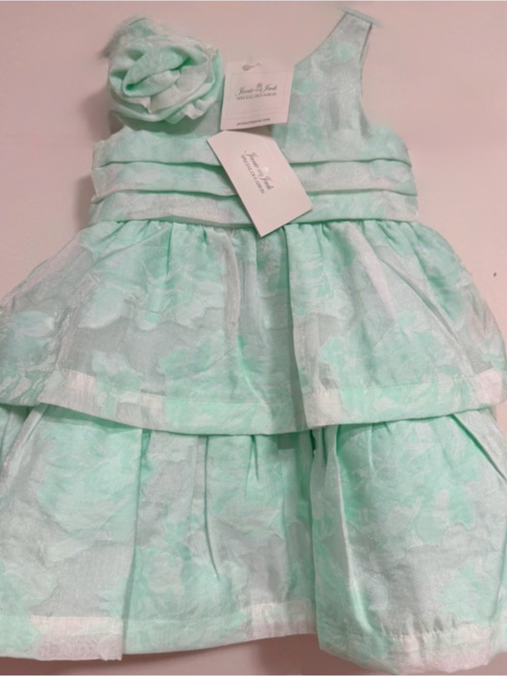 NEW Janie and Jack Mint Green Floral Special Occasion Dress - Size 12/18 months